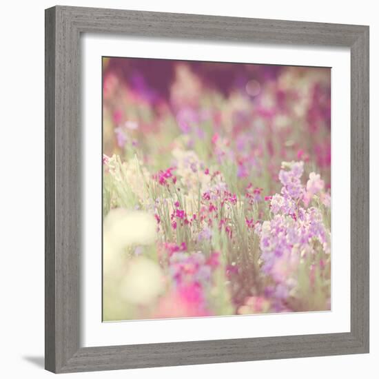 Flowers in Bloom-Myan Soffia-Framed Photographic Print