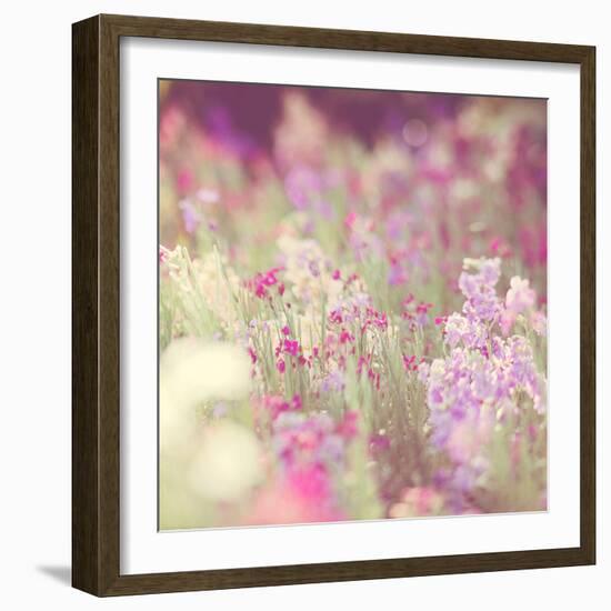 Flowers in Bloom-Myan Soffia-Framed Photographic Print