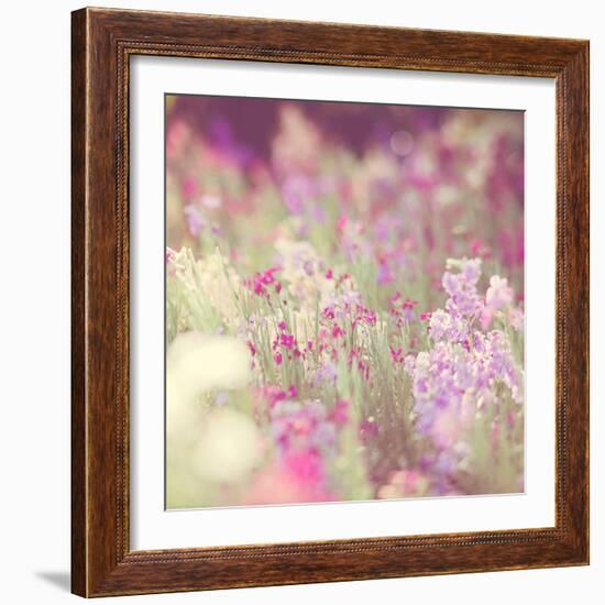 Flowers in Bloom-Myan Soffia-Framed Photographic Print