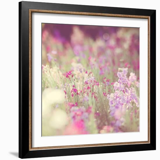 Flowers in Bloom-Myan Soffia-Framed Photographic Print