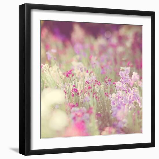 Flowers in Bloom-Myan Soffia-Framed Photographic Print