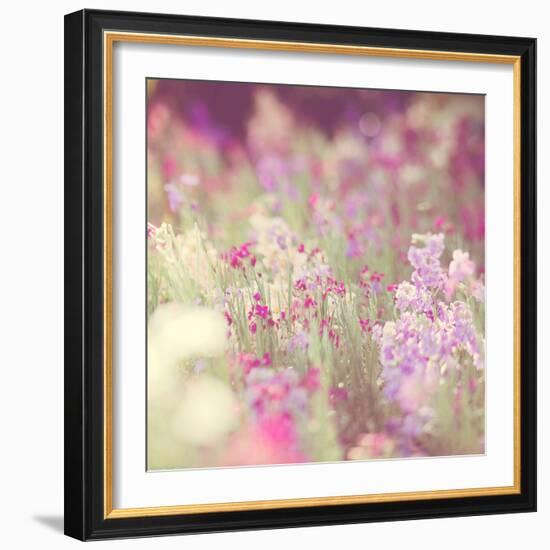 Flowers in Bloom-Myan Soffia-Framed Photographic Print