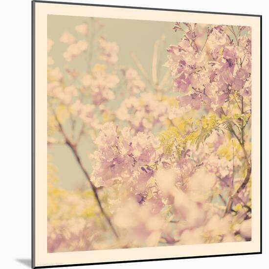 Flowers in Bloom-Myan Soffia-Mounted Photographic Print