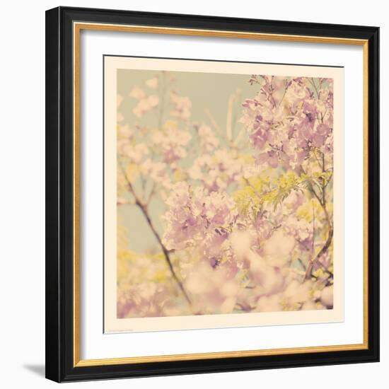 Flowers in Bloom-Myan Soffia-Framed Photographic Print