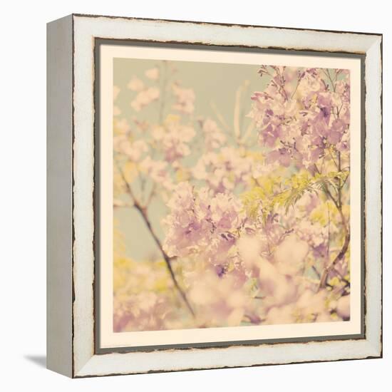 Flowers in Bloom-Myan Soffia-Framed Premier Image Canvas