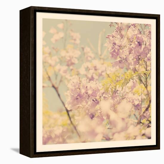 Flowers in Bloom-Myan Soffia-Framed Premier Image Canvas