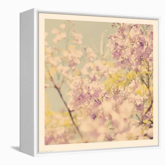 Flowers in Bloom-Myan Soffia-Framed Premier Image Canvas