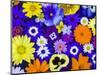 Flowers in Blues and Yellows-Darrell Gulin-Mounted Photographic Print