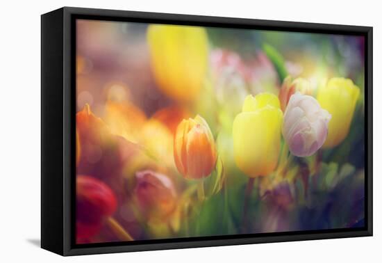 Flowers in Color Filters-Timofeeva Maria-Framed Premier Image Canvas