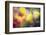 Flowers in Color Filters-Timofeeva Maria-Framed Photographic Print