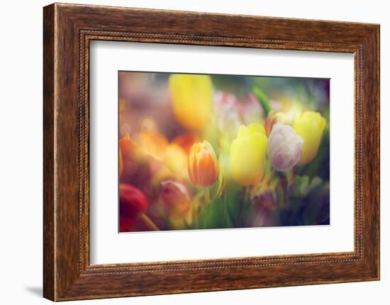 Flowers in Color Filters-Timofeeva Maria-Framed Photographic Print