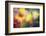 Flowers in Color Filters-Timofeeva Maria-Framed Photographic Print