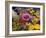 Flowers in December, 2005-Christopher Ryland-Framed Giclee Print