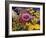 Flowers in December, 2005-Christopher Ryland-Framed Giclee Print