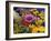 Flowers in December, 2005-Christopher Ryland-Framed Giclee Print