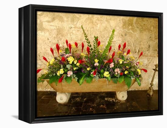 Flowers in Former Colonial Convent, Casa Santo Domingo Hotel, Antigua, Guatemala-Cindy Miller Hopkins-Framed Premier Image Canvas