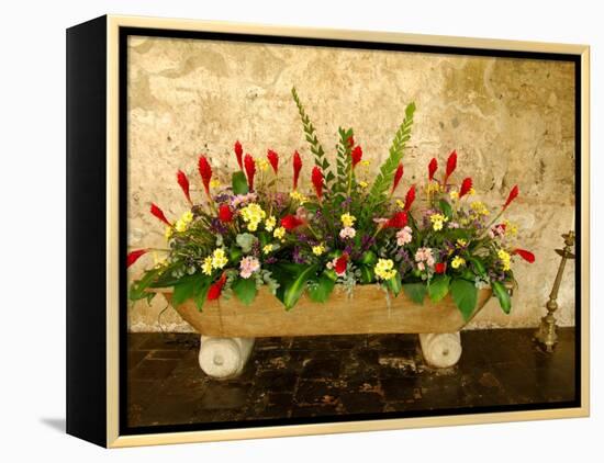 Flowers in Former Colonial Convent, Casa Santo Domingo Hotel, Antigua, Guatemala-Cindy Miller Hopkins-Framed Premier Image Canvas