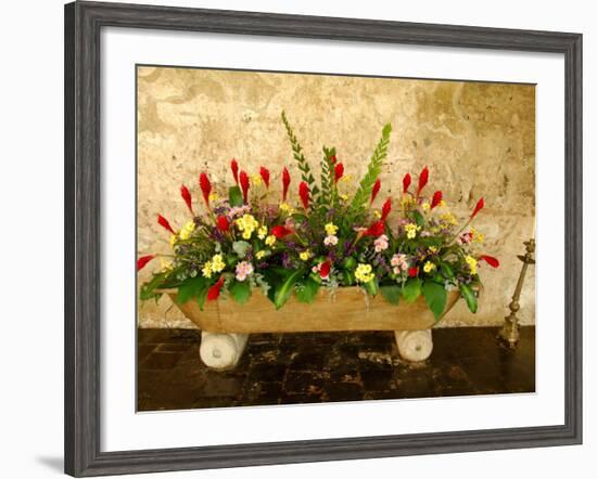 Flowers in Former Colonial Convent, Casa Santo Domingo Hotel, Antigua, Guatemala-Cindy Miller Hopkins-Framed Photographic Print