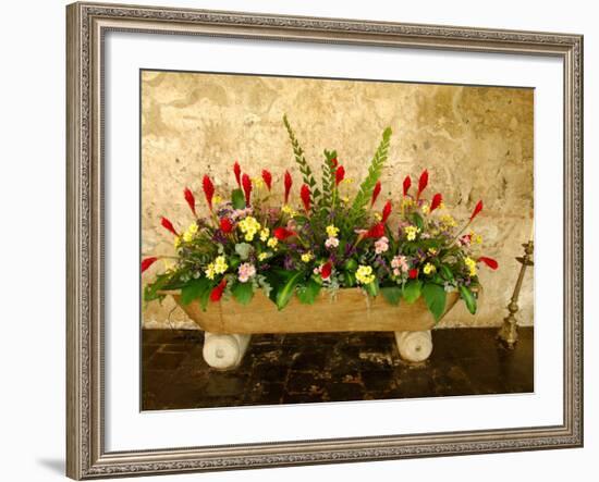 Flowers in Former Colonial Convent, Casa Santo Domingo Hotel, Antigua, Guatemala-Cindy Miller Hopkins-Framed Photographic Print