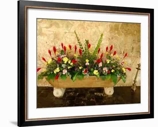 Flowers in Former Colonial Convent, Casa Santo Domingo Hotel, Antigua, Guatemala-Cindy Miller Hopkins-Framed Photographic Print