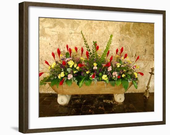 Flowers in Former Colonial Convent, Casa Santo Domingo Hotel, Antigua, Guatemala-Cindy Miller Hopkins-Framed Photographic Print