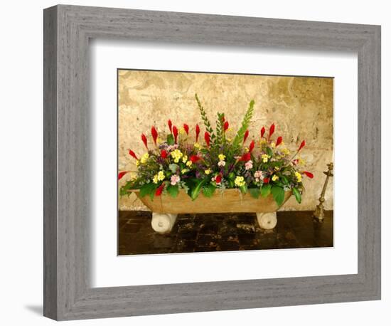 Flowers in Former Colonial Convent, Casa Santo Domingo Hotel, Antigua, Guatemala-Cindy Miller Hopkins-Framed Photographic Print