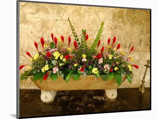 Flowers in Former Colonial Convent, Casa Santo Domingo Hotel, Antigua, Guatemala-Cindy Miller Hopkins-Mounted Photographic Print