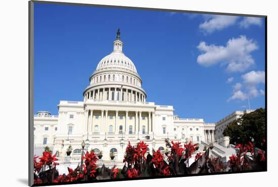 Flowers in Front of the U.S. Capitol, Where the Senate and House of Representatives Meet-1photo-Mounted Photographic Print