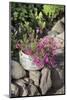 Flowers in Old Saucepan-Andrea Haase-Mounted Photographic Print