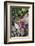 Flowers in Old Saucepan-Andrea Haase-Framed Photographic Print