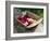 Flowers in Old Wooden Tray, Goreme, Cappadocia, Turkey-R H Productions-Framed Photographic Print