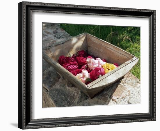 Flowers in Old Wooden Tray, Goreme, Cappadocia, Turkey-R H Productions-Framed Photographic Print