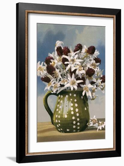 Flowers in Pottery Jug-null-Framed Art Print