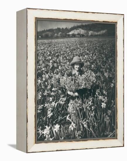 Flowers in Puyallup, 1925-Marvin Boland-Framed Premier Image Canvas