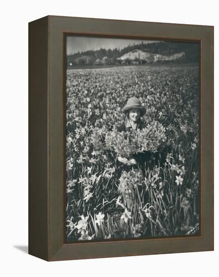 Flowers in Puyallup, 1925-Marvin Boland-Framed Premier Image Canvas