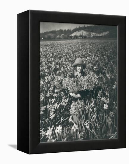 Flowers in Puyallup, 1925-Marvin Boland-Framed Premier Image Canvas
