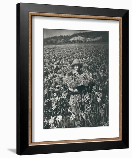 Flowers in Puyallup, 1925-Marvin Boland-Framed Giclee Print