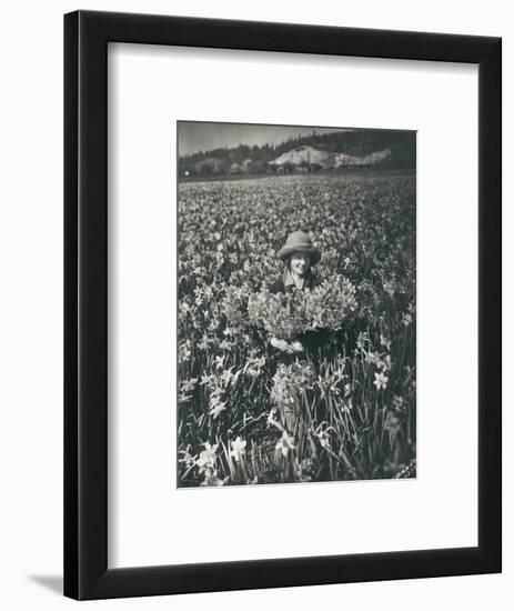 Flowers in Puyallup, 1925-Marvin Boland-Framed Premium Giclee Print