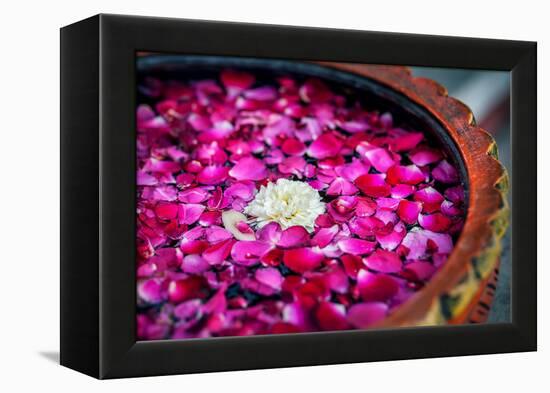 Flowers in Spa-Marina Pissarova-Framed Premier Image Canvas