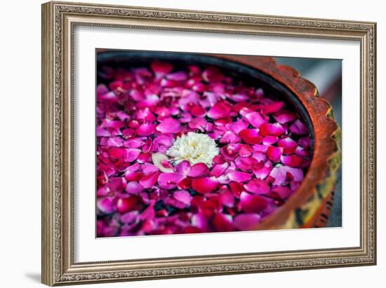 Flowers in Spa-Marina Pissarova-Framed Photographic Print