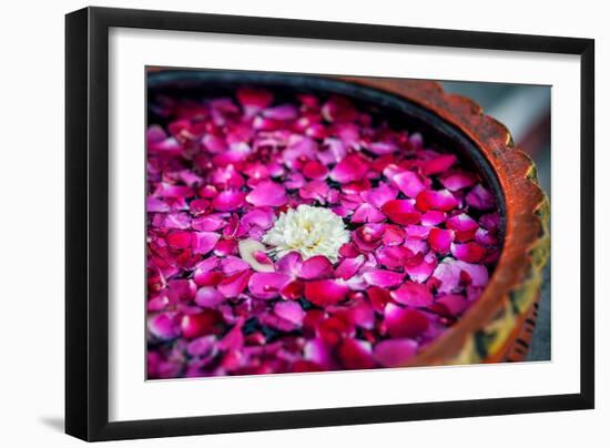 Flowers in Spa-Marina Pissarova-Framed Photographic Print