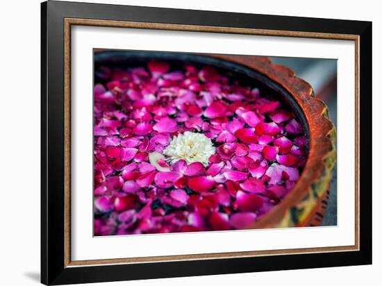 Flowers in Spa-Marina Pissarova-Framed Photographic Print