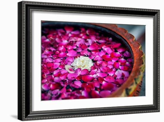 Flowers in Spa-Marina Pissarova-Framed Photographic Print