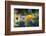 Flowers in the Garden of the Alhambra-Alex Saberi-Framed Photographic Print