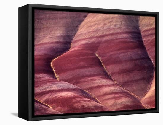 Flowers in the Gullies, Painted Hills, John Day Fossil Beds National Monument, Oregon, USA-Charles Sleicher-Framed Premier Image Canvas