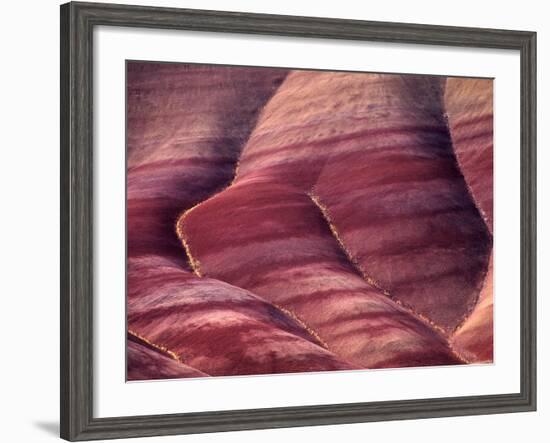 Flowers in the Gullies, Painted Hills, John Day Fossil Beds National Monument, Oregon, USA-Charles Sleicher-Framed Photographic Print