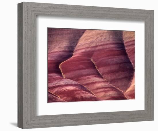 Flowers in the Gullies, Painted Hills, John Day Fossil Beds National Monument, Oregon, USA-Charles Sleicher-Framed Photographic Print