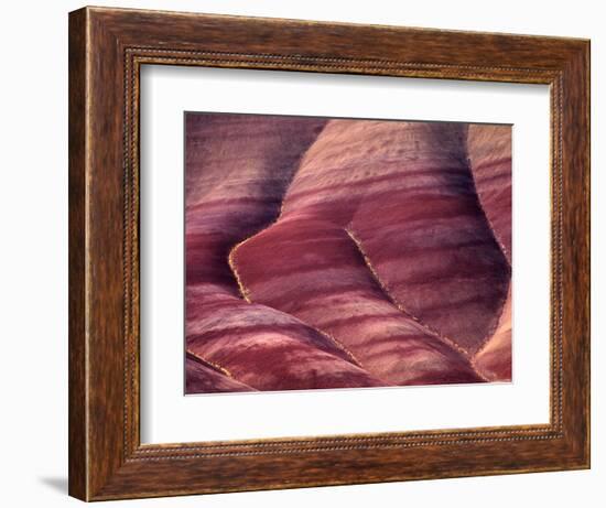 Flowers in the Gullies, Painted Hills, John Day Fossil Beds National Monument, Oregon, USA-Charles Sleicher-Framed Photographic Print