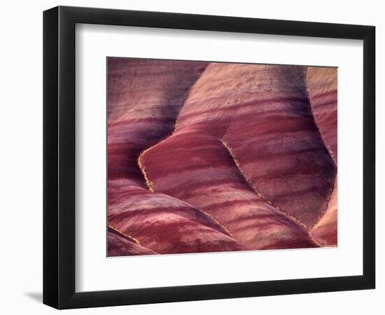 Flowers in the Gullies, Painted Hills, John Day Fossil Beds National Monument, Oregon, USA-Charles Sleicher-Framed Photographic Print