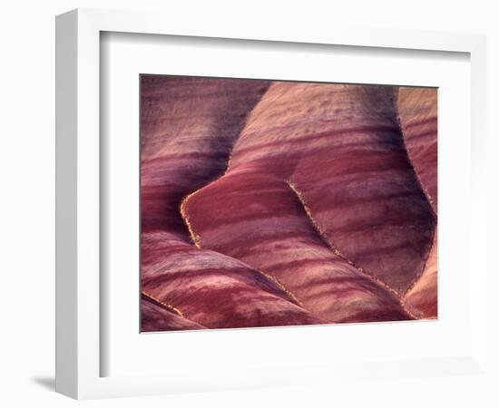 Flowers in the Gullies, Painted Hills, John Day Fossil Beds National Monument, Oregon, USA-Charles Sleicher-Framed Photographic Print